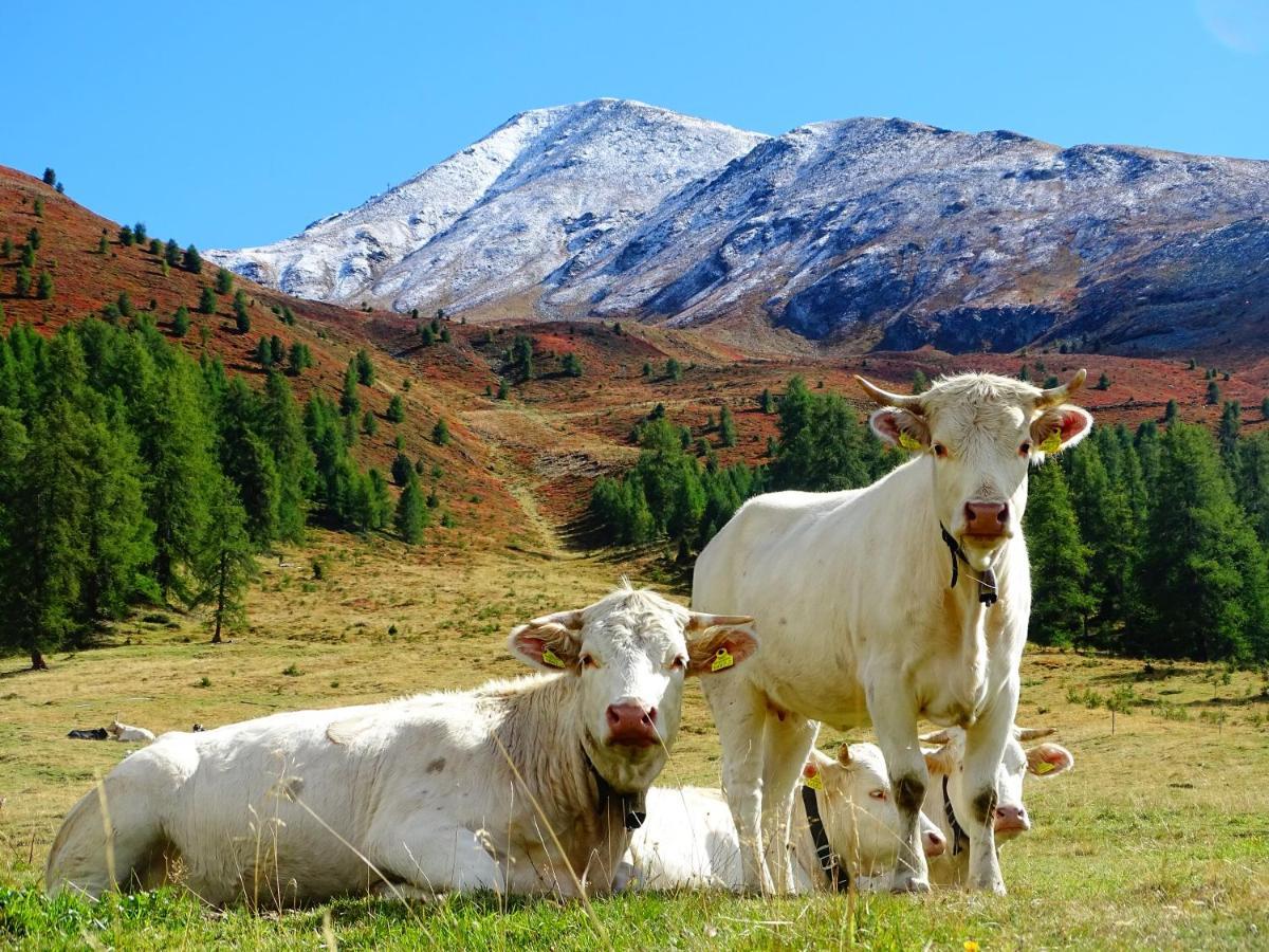 Apartmán Alpenfrieden - Nauders Exteriér fotografie